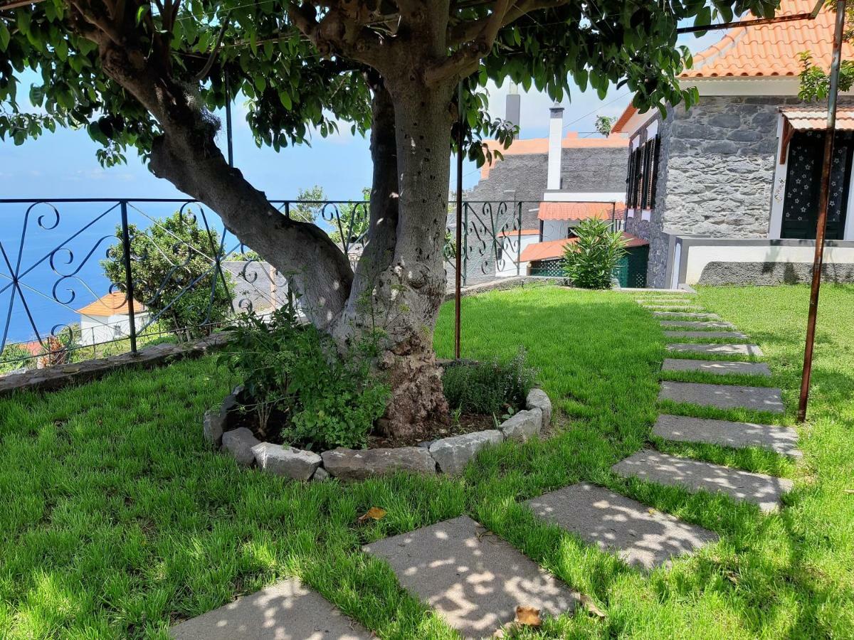 Casa Velha D Fernando E Casa Avo Augusta Hotel Ribeira Brava Luaran gambar